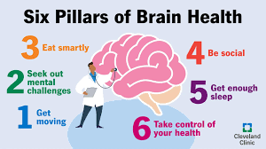 Your Body’s ‘Second Brain’ Could Be the Key to Mental Health