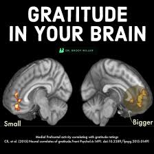 How Gratitude Literally Rewires Your Brain for Better Health