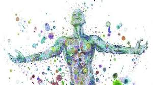 The New Science Behind Happiness and Physical Health