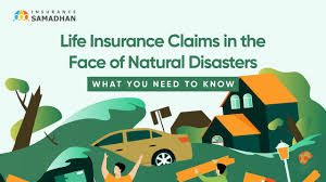 Will Your Insurance Protect You During a Natural Disaster?